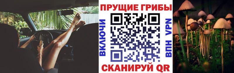 Галлюциногенные грибы ЛСД Нижнекамск