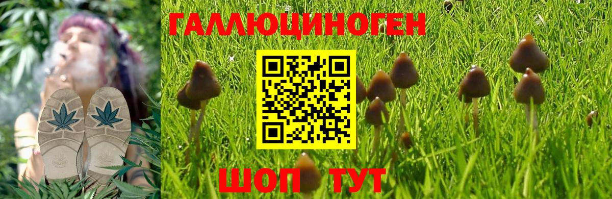 Псилоцибиновые грибы MAGIC MUSHROOMS Нижнекамск